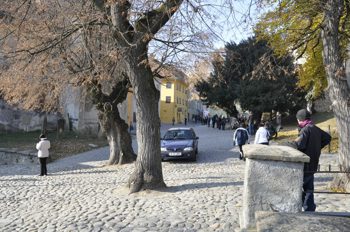 _DSC0565
