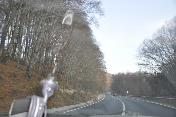 _DSC0613 - Tg Mures si Sighisoara