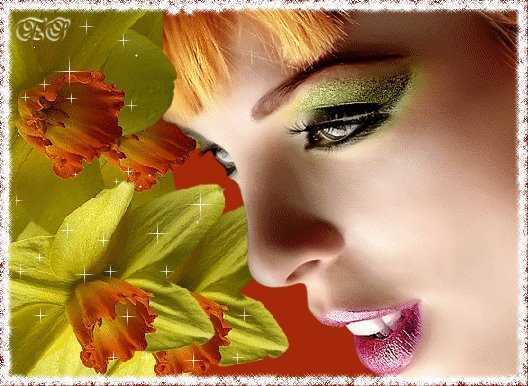 299134_225929340803730_100001599973529_680969_1497195252_n - poze avatar