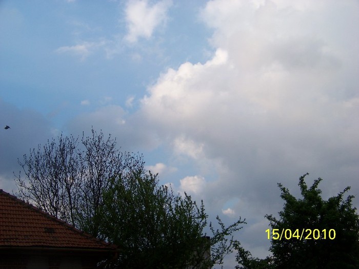 100_5402 - Splendorile cerului