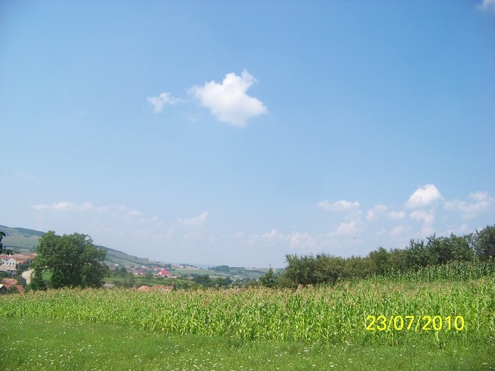 100_6746 - Splendorile cerului