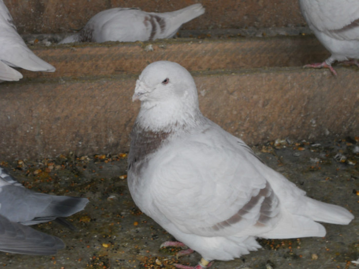 DSCN1310