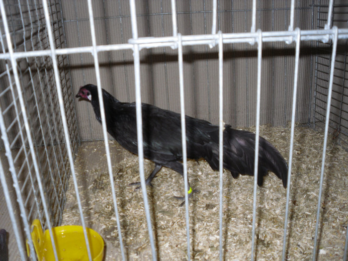 SDC12389