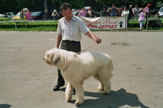 Bagheera de Banie - Targoviste 08-05-2005