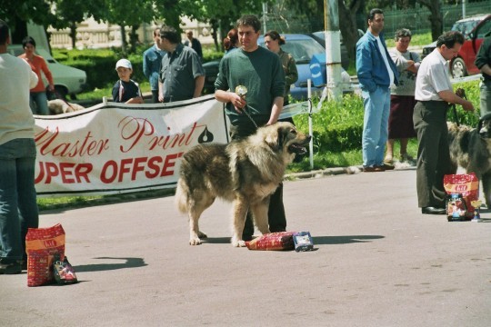 Gales de simion 1 - Targoviste 08-05-2005