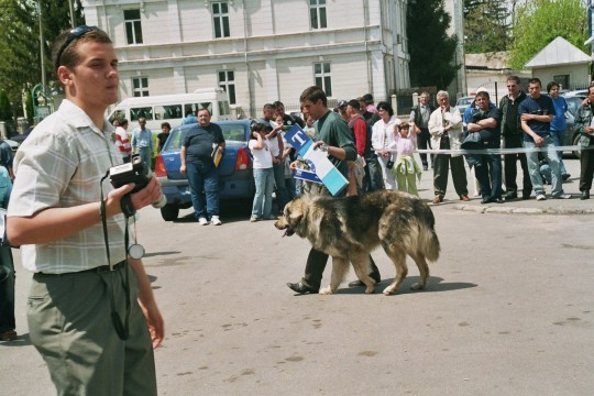 Gales de simion 2 - Targoviste 08-05-2005