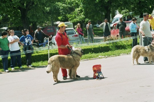 Ozana de Mindilica - Targoviste 08-05-2005