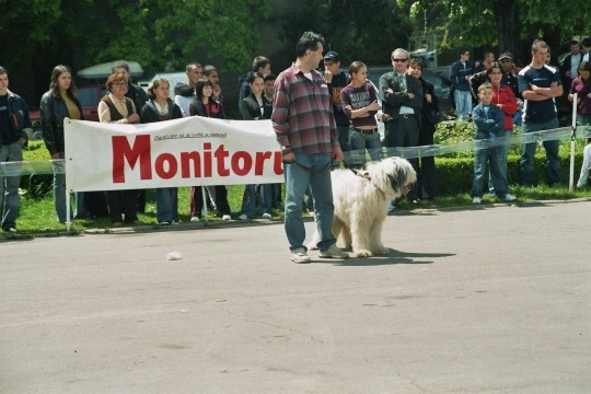 targoviste 2005 ge 31 - Targoviste 08-05-2005