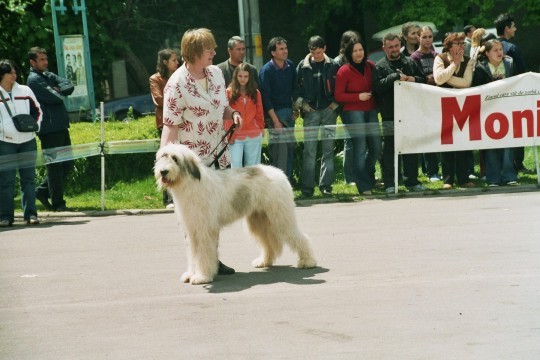 targoviste 2005 ge 33 - Targoviste 08-05-2005