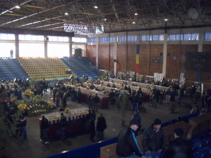 expo1 - EXPO UCPR 2011 TARGOVISTE