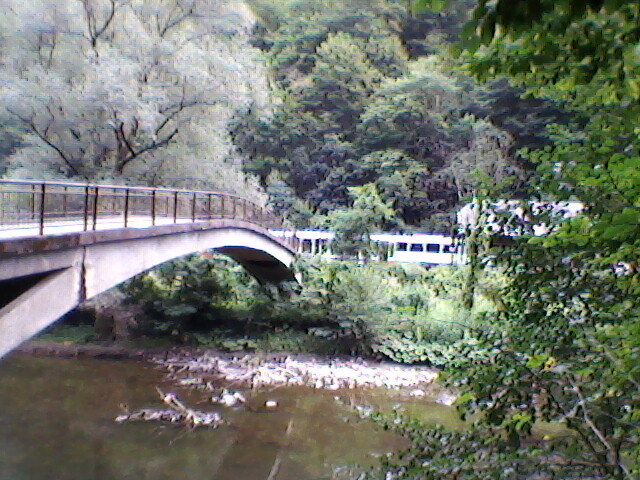 vadu crisului trenuri - VADU CRISULUI 2011