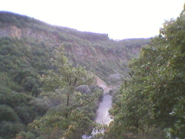 vadu crisului 004 - VADU CRISULUI 2011