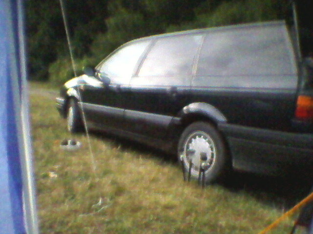 vadu crisului 011 - VADU CRISULUI 2011