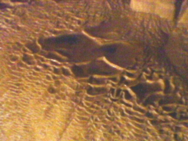 pestera Vadu Crisului 005 - VADU CRISULUI 2011