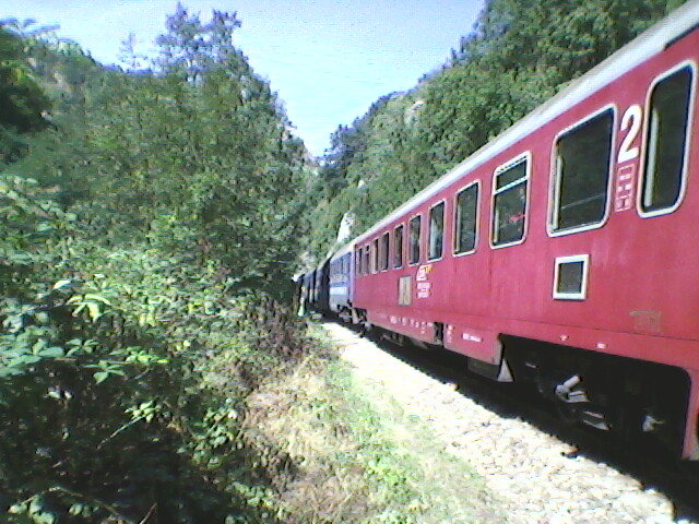 vadu crisului trenuri 001 - VADU CRISULUI 2011