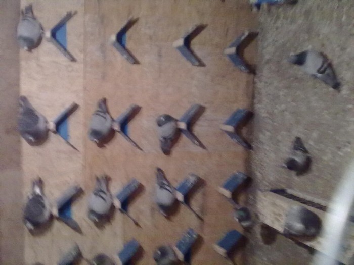 Dya1282 - Date de contact