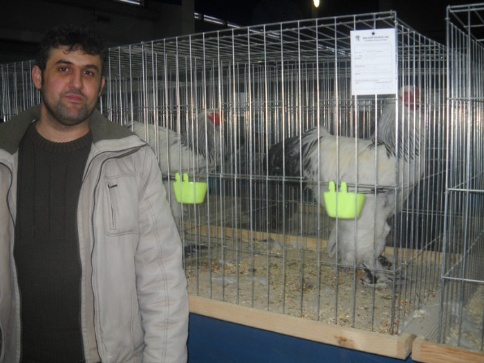 Picture 161 - EXPO NATIONALA DABAS UNGARIA  2011