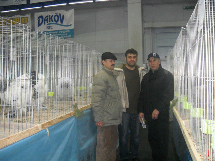 Picture 162 - EXPO NATIONALA DABAS UNGARIA  2011