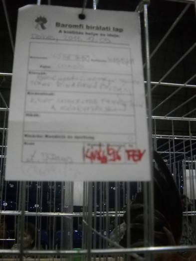 Picture 214 - EXPO NATIONALA DABAS UNGARIA  2011