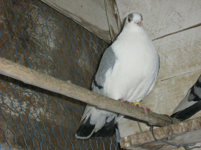 Picture 359