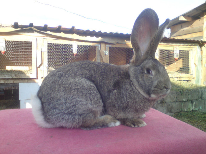 DSC05631