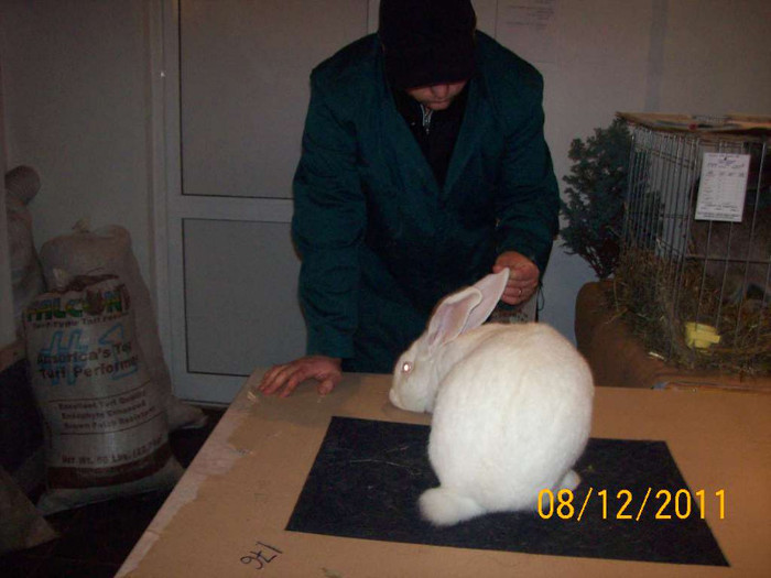 100_6782 - EXPOZITIA 8-11 DECEMBRIE 2011 HENIU BISTRITA