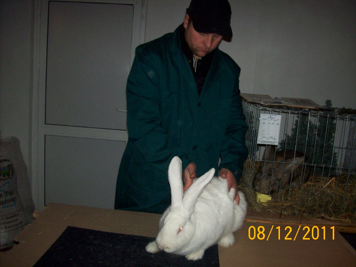 100_6805 - EXPOZITIA 8-11 DECEMBRIE 2011 HENIU BISTRITA