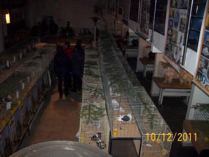 100_6852 - EXPOZITIA 8-11 DECEMBRIE 2011 HENIU BISTRITA