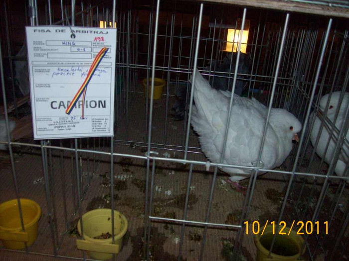 100_6854 - EXPOZITIA 8-11 DECEMBRIE 2011 HENIU BISTRITA