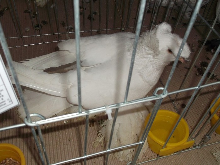 Picture 3086