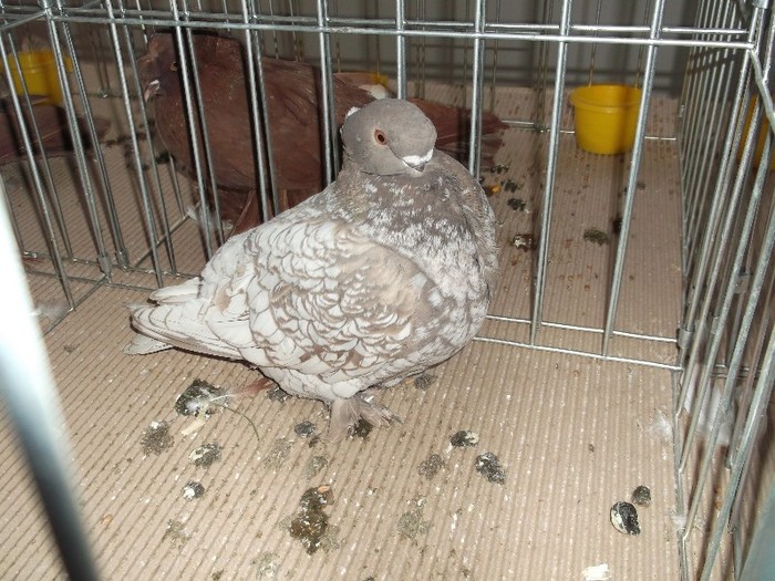 Picture 3089