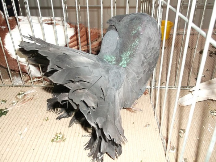 Picture 3093