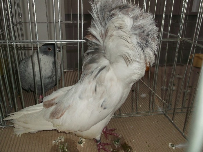 Picture 3119