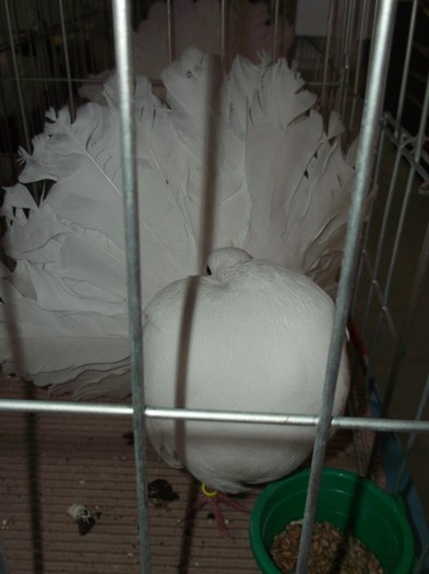 Picture 3123