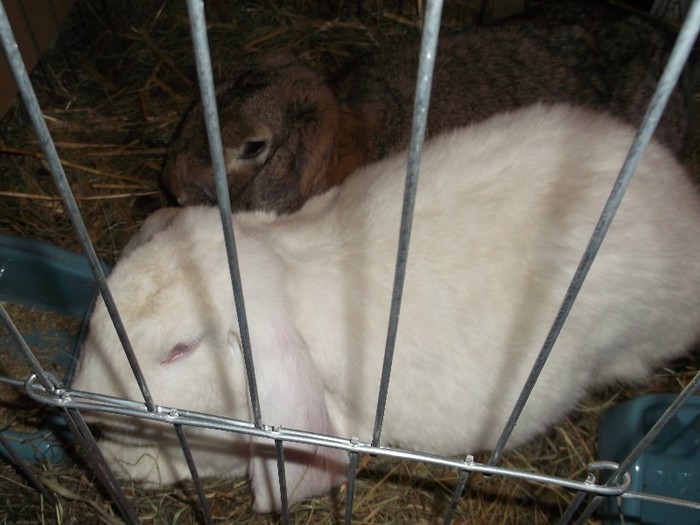 Picture 3146