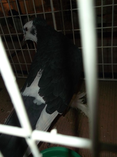 Picture 3160