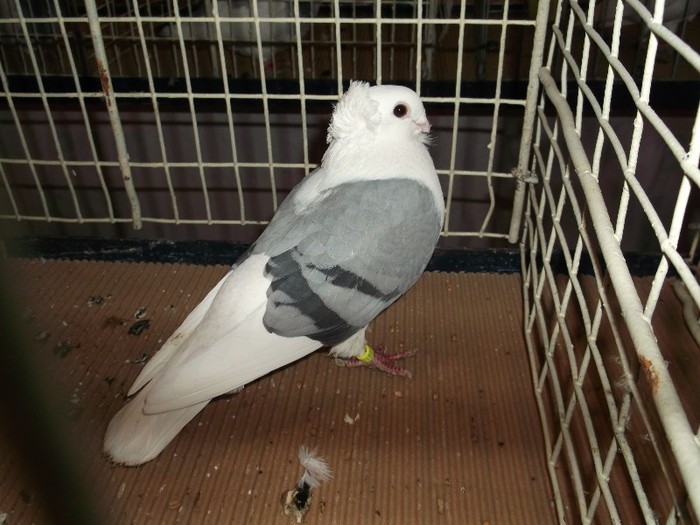 Picture 3166