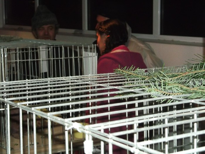 Picture 3178