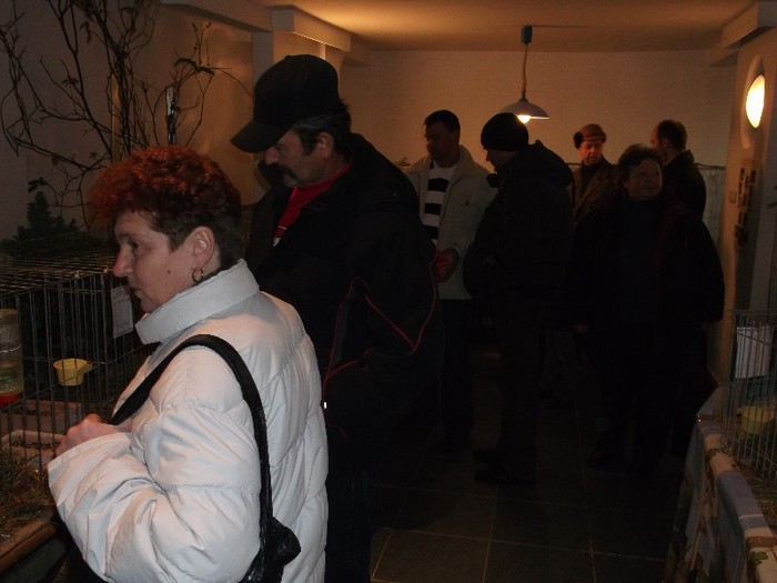Picture 3195