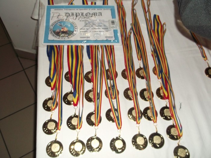 Picture 3210