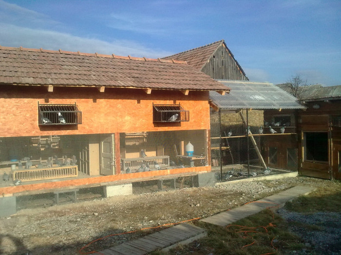 crescatoria 2 si volierul