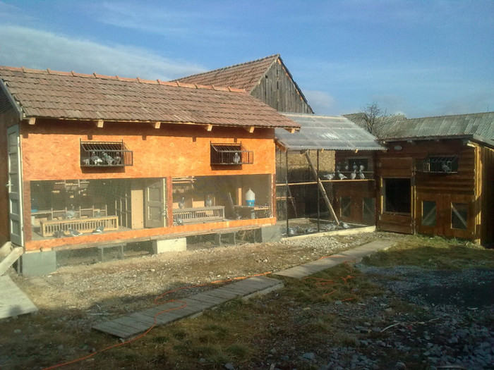 crescatoriile si volierul