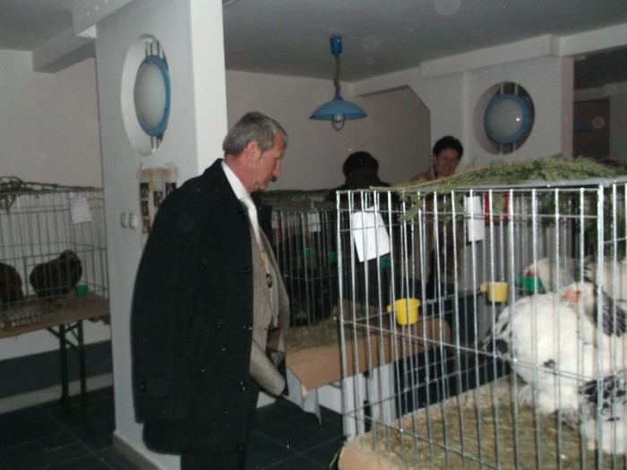 oare cand am gresit???/