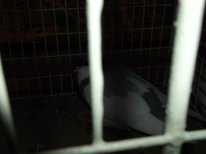 Picture 3341