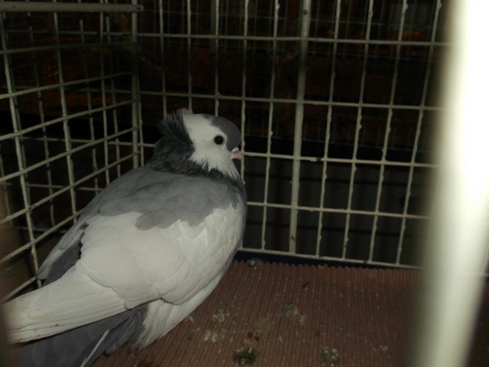 Picture 3342