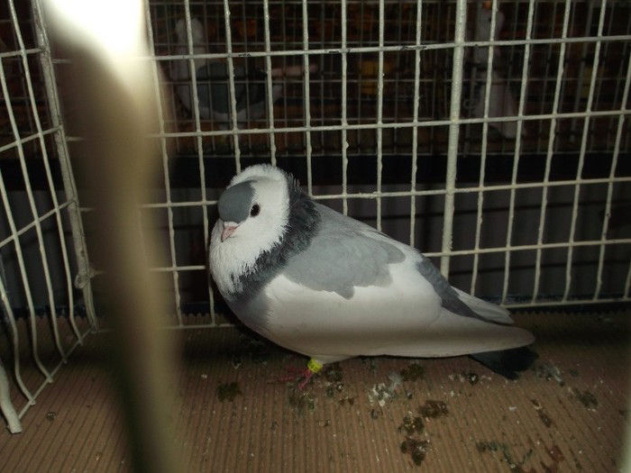 Picture 3343