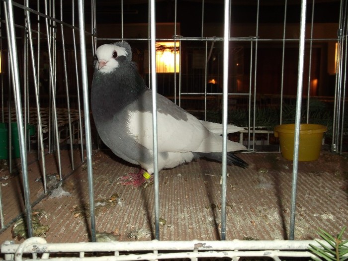 Picture 3345