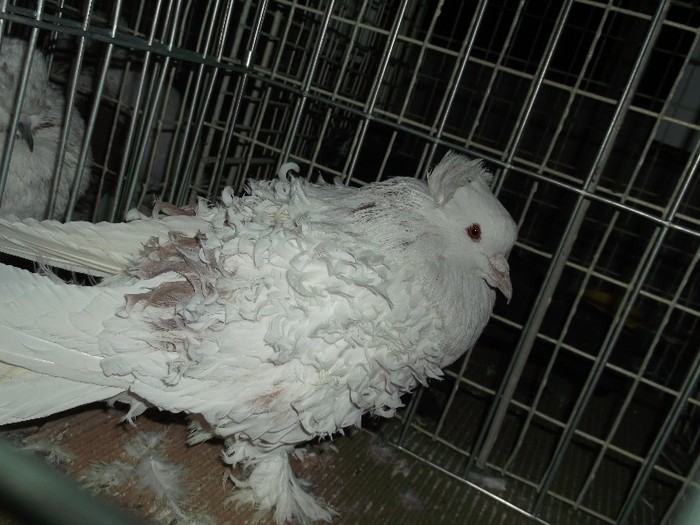 Picture 3349