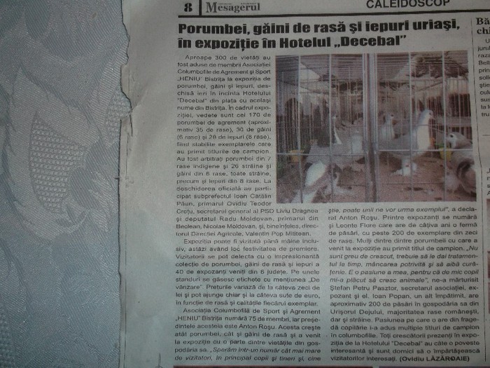 urla gazetele