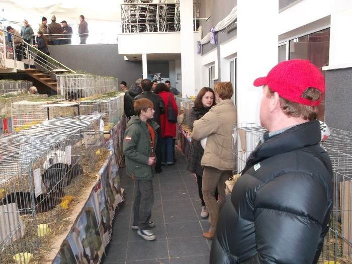 NELUTU de........sase